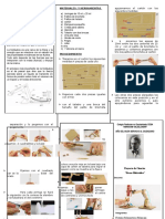 Triptico Brazo Hidraulico