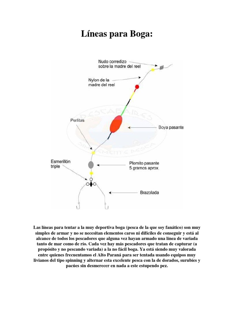 Cómo Armar Líneas para Boga y Pejerrey | PDF | Pesca recreativa | Pescado