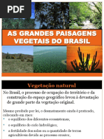 asgrandespaisagensvegetaisdobrasil-130603200909-phpapp02