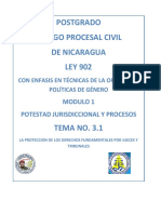 Proteccion Derechos Fundamentales Perez Tremps