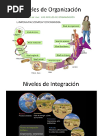 Niveles de Organización y Ciclos Biologicos