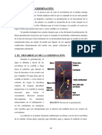 Germinacion PDF