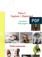 Capitulo 1 Elasticidad 