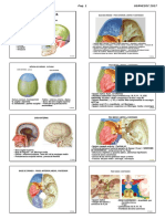 4 Anatomia Cabeza Usa 2017 Alumno PDF