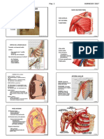 1 Anatomia Locomotor M Superior Usa 2017 Alu PDF