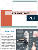 Leptospirosis, Bartonella y Peste