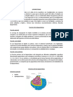 lipoproteinas