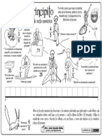 02-El-Principito-y-la-recta-numérica (4).pdf