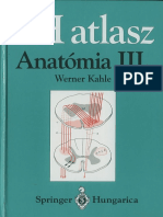 Anatomia III Kotet