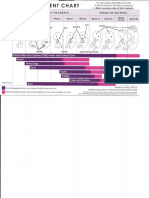 Fetal Development Chart