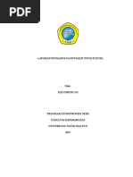 Download LAPORAN-PENDAHULUAN-EFUSI-PLEURAdoc by Vandhira Dwi Astuti SN359308814 doc pdf