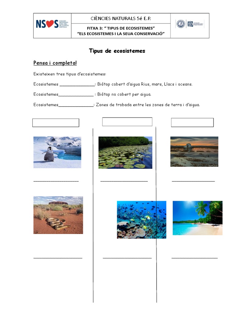 FICHA 2 Tipus de Ecosistemes PDF
