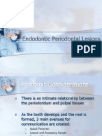 Endodontic Periodontal Relationships 2016