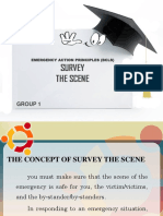 Survey The Scene