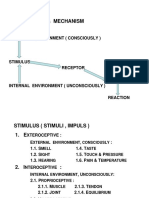 N Systema Nervosum 110414