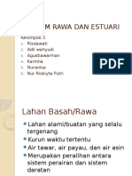 Ekosistem Rawa Dan Estuari