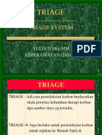 2. Triage System