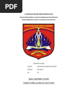 Download PENGARUH MEDIA TANAM TERHADAP KECEPATAN PERTUMBUHAN PADA TANAMAN KANGKUNGdoc by Putri Sri Prikustyowati SN359332755 doc pdf