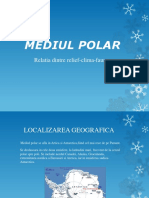 Mediul Polar