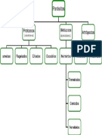 Tipos de Parasitos