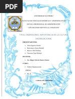 Cultura Organizacional Trabajo Monografico