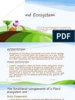 Pond Ecosystem Guide