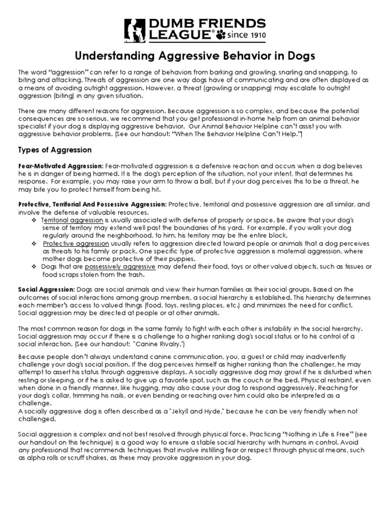 Dog Agg | PDF | Aggression | Dogs