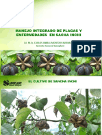 sachainchisanoplant-150914003600-lva1-app6892.pdf