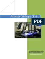 Atlas de Citologia - Normais