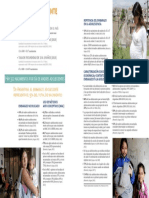 El Embarazo Adolescente en Argentina UNFPA 2013 1