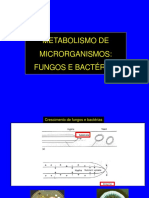 Teorica 7 - Metabolismo Fungos e Bactérias 2016 A