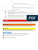 Polo Manual 1 PDF