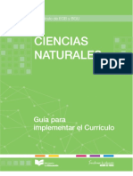 GUIA-CCNN.pdf