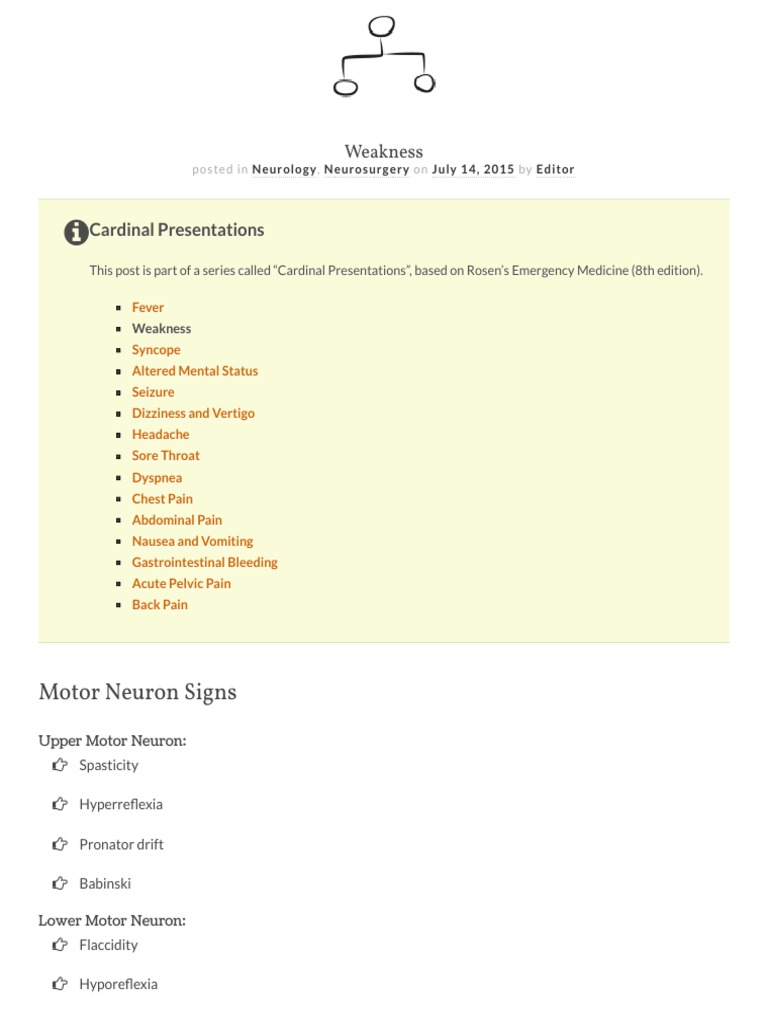 Differential Diagnosis of Weakness PDF Spinal Cord Human Anatomy