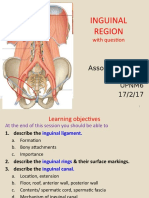 Inguinal Region 1617