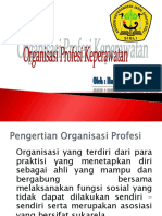 Organisasi Profesi