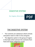 Digestive System: By: Angela, Alicia and Ines