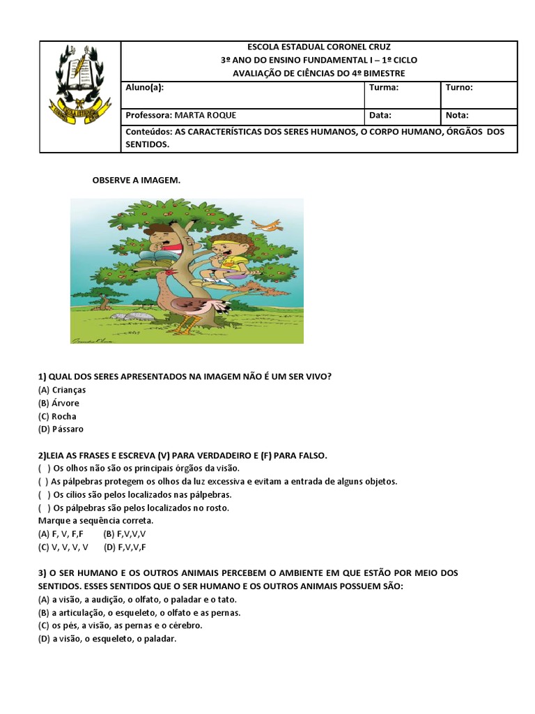 Simulados de Ciências para os Anos Iniciais