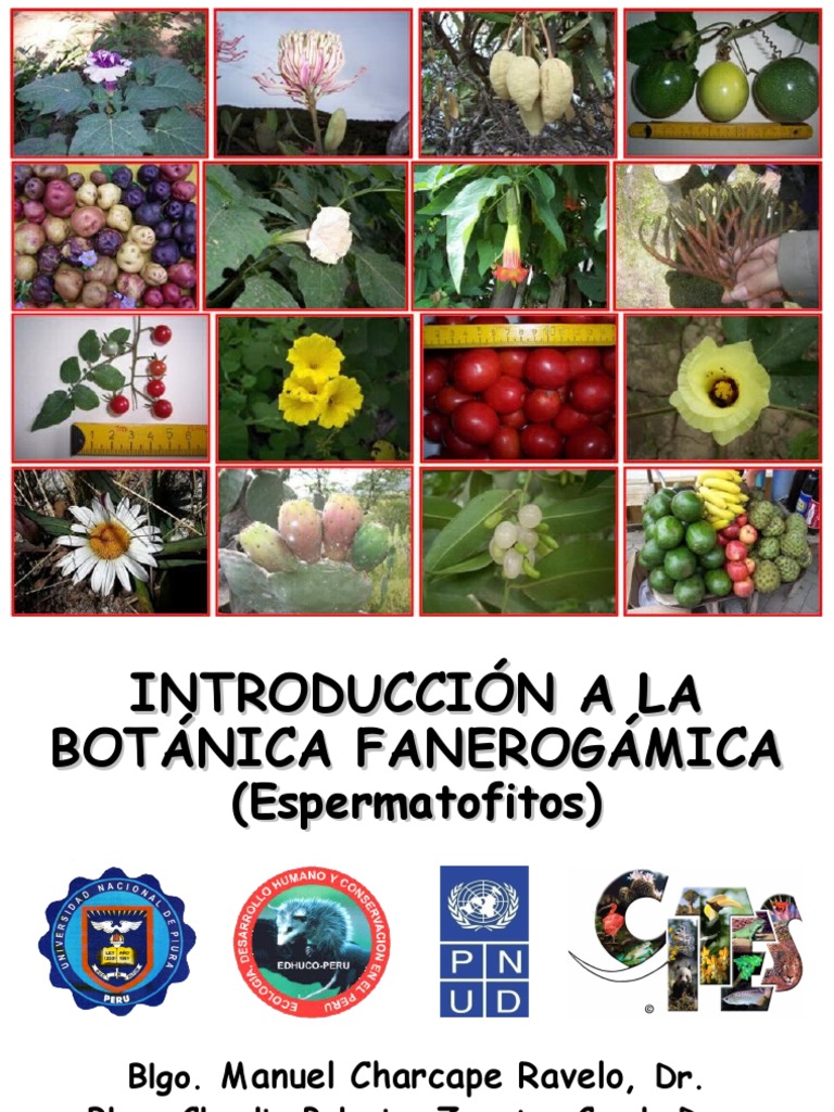 Botanica Fanerogamica