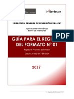 Guia Registro - Formato01invierte.pe.pdf