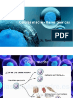 Células Madre - Bases Teóricas