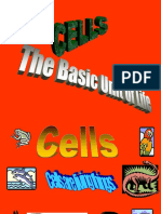 Cell Biology 2