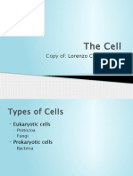 Basic Cytology