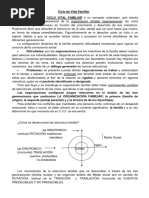 Ciclo de Vida Familiar