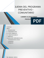 1 Esquema Del Programa Preventivo Comunitario