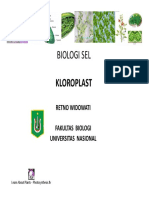 Bab 10 Kloroplast