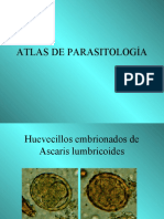 atlas-a-color-de-parasitologia-140314170700-phpapp02.pdf