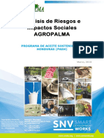 Analis de Riesgos e Impactos Sociales Agropalma