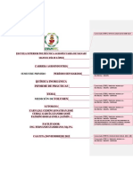 Formato de Informe PDF