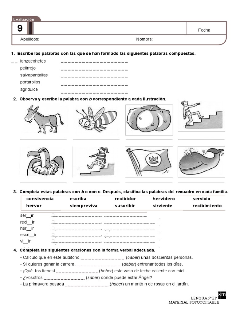 Ejercicios de Lengua para 5º EP | PDF | Lingüística | Idiomas